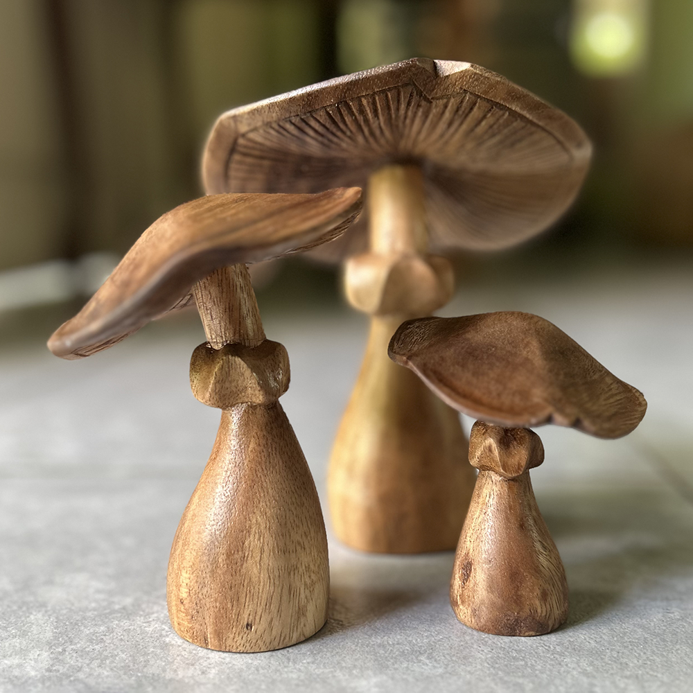 Jamur Kayu Suar Kecil, 3 Ukuran