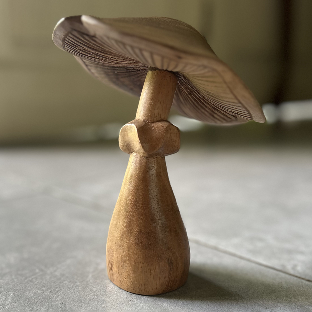 Jamur Kayu Suar Kecil, 3 Ukuran