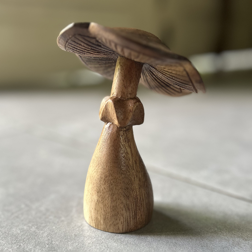 Jamur Kayu Suar Kecil, 3 Ukuran