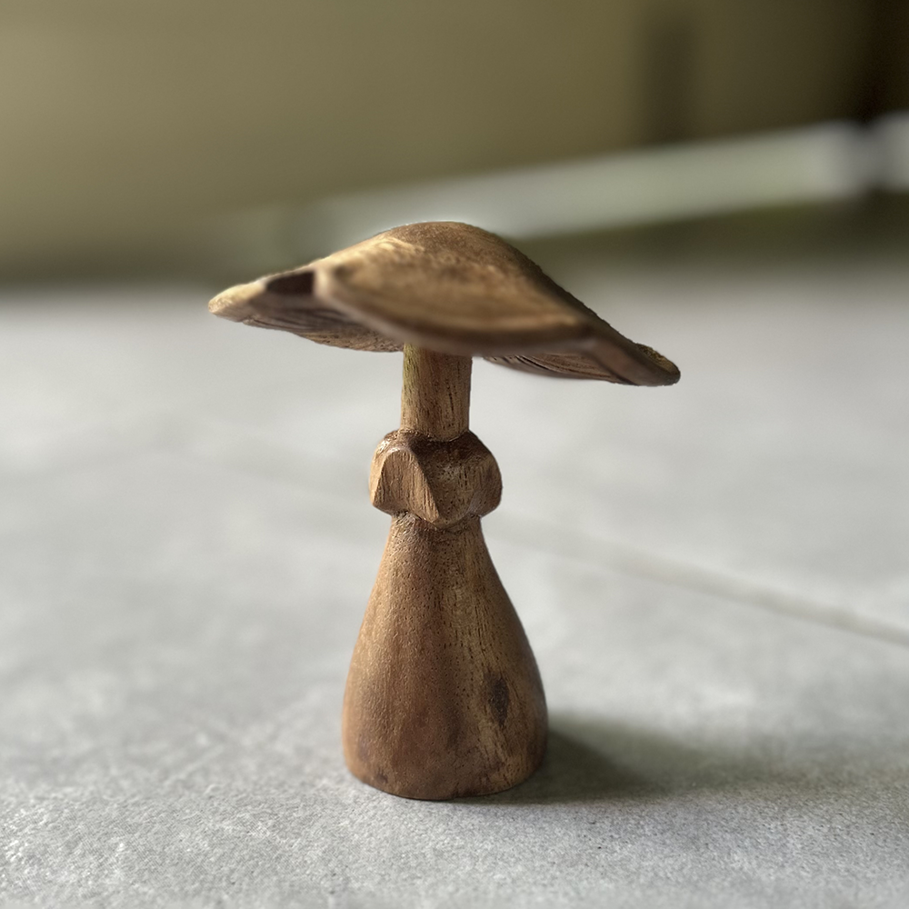 Jamur Kayu Suar Kecil, 3 Ukuran