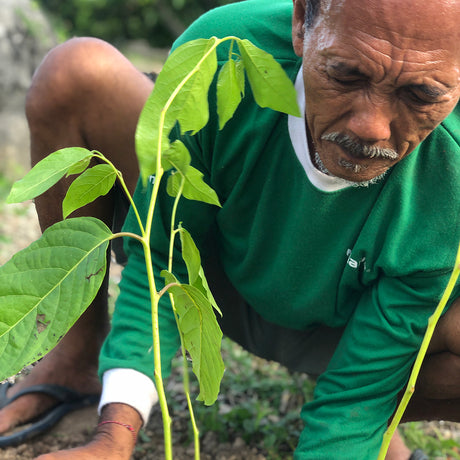 Organic Farming