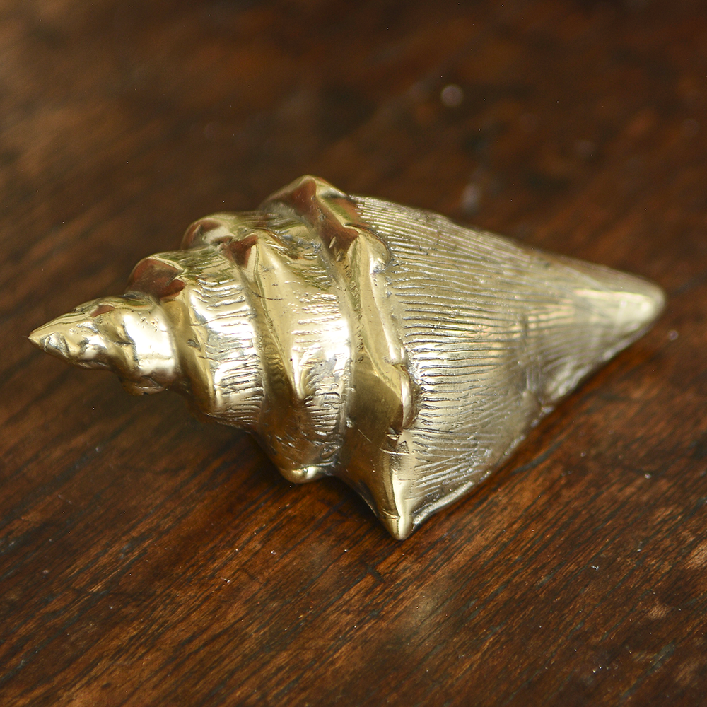 Bronze Gold Shell