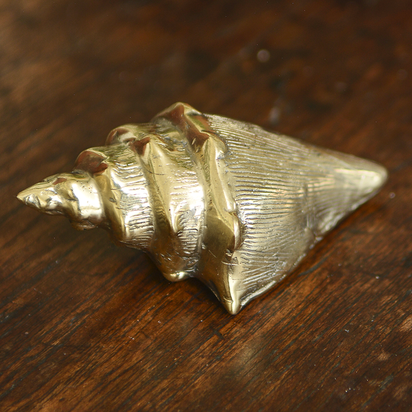 Bronze Gold Shell - SALE HOMEWARES
