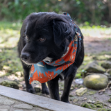 Assorted Doggie Bandanas - great for people too