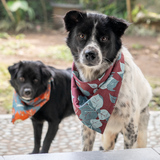 Assorted Doggie Bandanas - great for people too