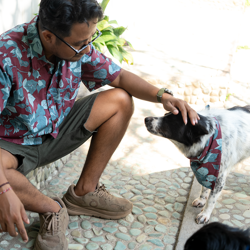 Assorted Doggie Bandanas - great for people too