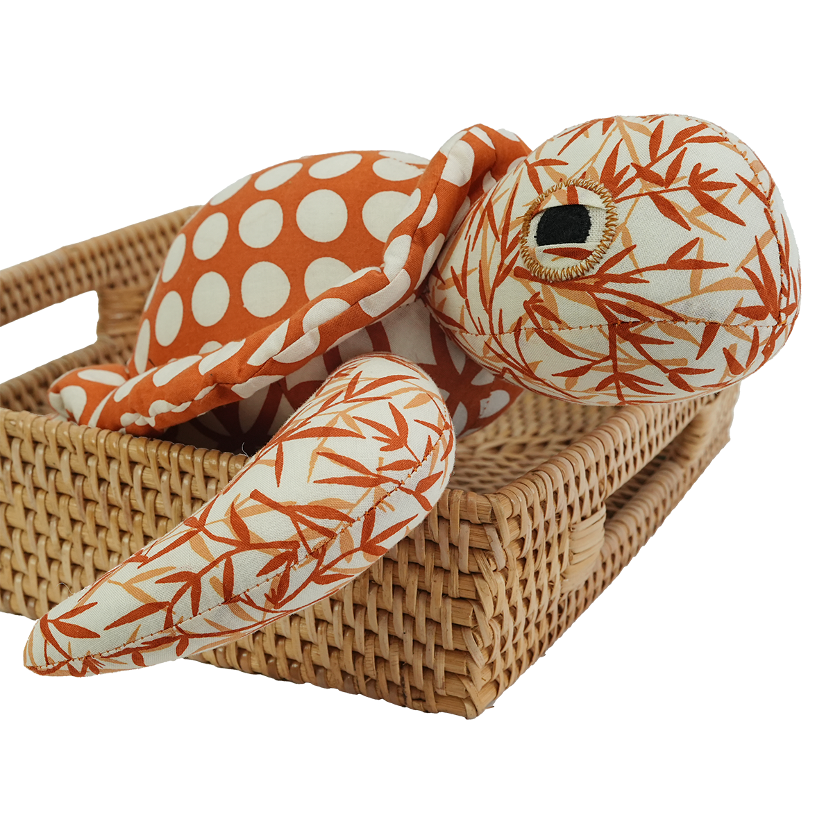 Penyu Laut yang Hangat dan Gigih