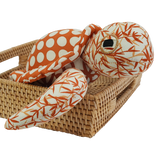 Penyu Laut yang Hangat dan Gigih