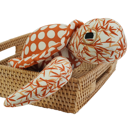 Penyu Laut yang Hangat dan Gigih