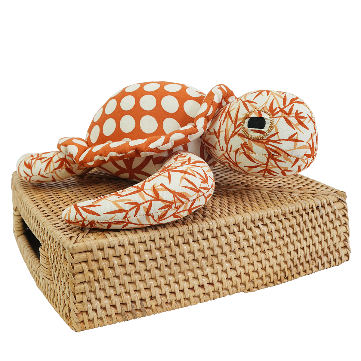 Penyu Laut yang Hangat dan Gigih