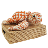 Penyu Laut yang Hangat dan Gigih