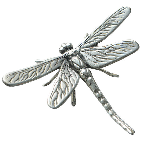 Bronze Dragonfly, Large