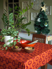 Spice Red Space Tablecloth Medium - SALE HOMEWARES