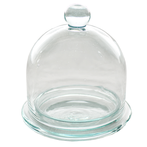 Scrappy Glass Cheese Dome - Sale Homewares