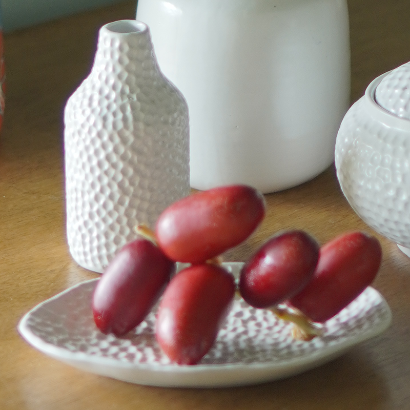 White Ceramic Soap Dish - SALE HOMEWARES